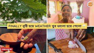 Finally বৃষ্টি হয়ে Weather খুব ভালো হয়ে গেলো ️| Life in India | Indian Vlogger Swaralipi