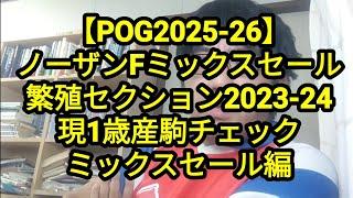 【POG2025-26】ノーザンFミックスセール繁殖セクション2023-24　現1歳産駒チェック　ミックスセール編