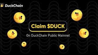 Find Your DUCKCHAIN PUBLIC MAINNET ADDRESS and WITHDRAW Your Tokens Easy 