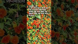 말씀찬양 사도행전 20:24 받은 사명위해 내 삶을 드립니다.