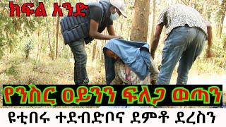 የንስር ዐይንን ፍለጋ ወጣን// ዩቲበሩ ተደብድቦና ደምቶ ደረስን