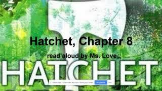 Hatchet by Gary Paulsen, Chapter 8