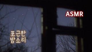 ASMR 마음이 편안해 지는 포근한 밤소리●풀벌레 소리, 기차 소리, 밤의 백색소음 | Night Ambience Nature Crickets & Train