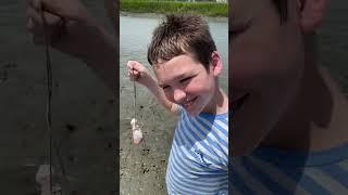 Crabbing at Ocean Isle Beach NC #crabbing #fishingvideos #oib #oceanislebeach