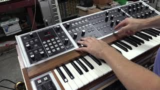 Robert's Memorymoog Plus Demo (by synthpro)