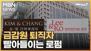 금감원 퇴직자 빨아들이는 로펌…금융기관에도 올해 22명 재취업 [MBN 뉴스7]