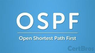 OSPF Explained | Step by Step