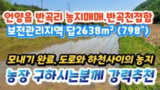 (2206*03) 언양읍 반곡리 농지매매. 3억9천9백만. 답2638m² (798")‍️‍‍️‍