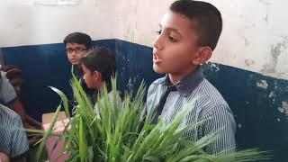 Science fair