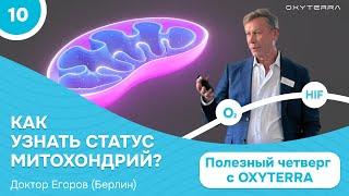 Как определить митохондриальную дисфункцию? (Полезный четверг с OXYTERRA. S1E10)