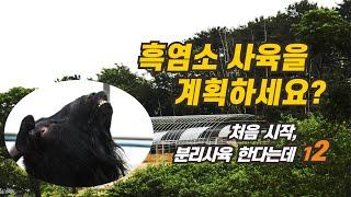 12  흑염소 사육을 계획하시나요? - 몇 마리로 시작? 분리는 어떻게~