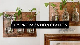 DIY PROPAGATION STATION | EASY PROPAGATION STATION