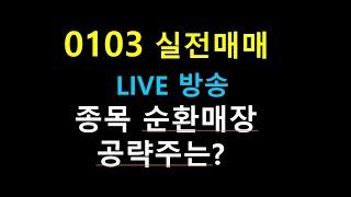 0103        ///   종목 순환매장        공략주는?