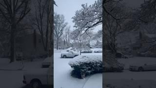 ️纽约大雪️ Heavy snow in New York️02/13/2024