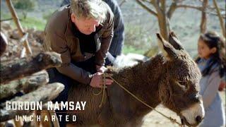 🫏 “I’m Too Old to Ride a Donkey” | Gordon Ramsay: Uncharted