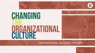 Changing the Organizational Culture