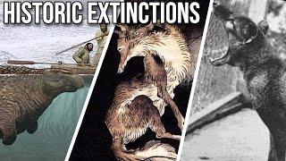 MORE Extinct Animals of History