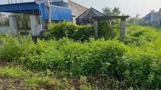 Abandoned House Calls for Help Due to Invasive Weeds - Clean Weeds to Revive the House