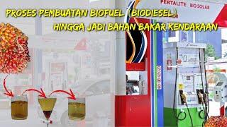 Proses Pembuatan Biodiesel Hingga Jadi BBM