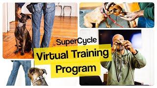 How to Establish Communication with Your Dog Step by Step | SuperCycle Virtual Training