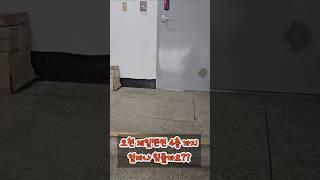 #shorts 울산탑플러스경매학원 현장답사 #4츨입찰 #4층까지걸어서 #울산경매학원 #탑플러스경매학원