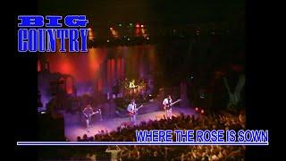 Big Country - Where The Rose Is Sown (Live at Reading - Whistle Test) HD