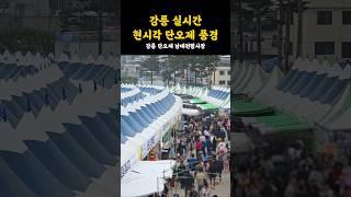 실시간️강릉 남대천 단오제! 흐린데도 사람 엄청 많아요~ #강원도 #강릉 #강릉여행 #단오제 #축제 #지역축제 #실시간
