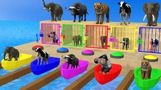 Select The Right Key Challenge Game With Elephant Monkey Cow Tiger Buffalo Paint Animals Cartoon