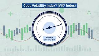 Understanding the VIX