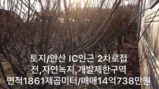 토지임야/안산 양상동 투자용