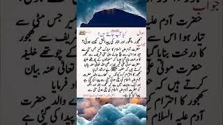 farman hazrat Muhammad sa viral Islamic knowledge short video