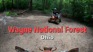 Wayne National Forest - Sycamore Trail Head - July 2023