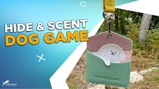 REVIEW: Hide & Scent Game for Dogs