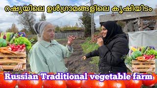 റഷ്യയിലെ ഉൾഗ്രാമങ്ങളിലെ കൃഷിയിടം Russian Traditional vegetable farm | village life Russia