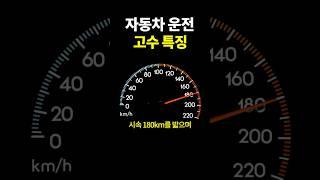 자동차 운전 고수 특징