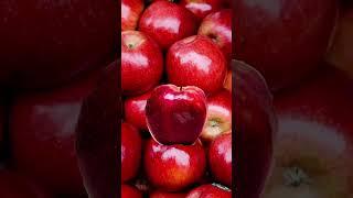 #funplay #redapple #youtubeshorts