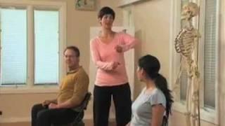 End Back Pain: Stretchsitting