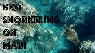 Best Shore Snorkeling on Maui - Honolua Bay