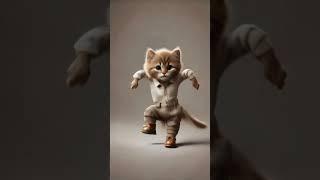 smart cat dance #cat #animaldance #petdance #cute #catdance