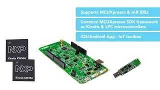 Power Your In-Vehicle Communication Network with Auto-Qualified Kinetis KW36/35 MCUS