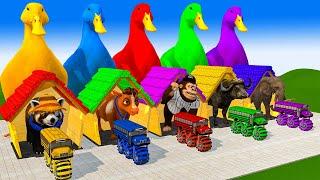 5 Giant Duck, Monkey, Piglet, chicken, elephant, cow, Buffalo, Transfiguration funny animal 2023