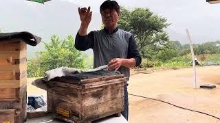 토종벌 개량벌통 월동포장 노하우