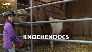 Reiten mit einem Bein | Die Knochendocs | SWR Doku