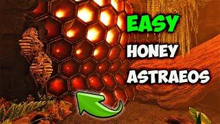 Astraeos SECRET Bee Cave | EASY Honey & Giant bee | ARK Survival Ascended