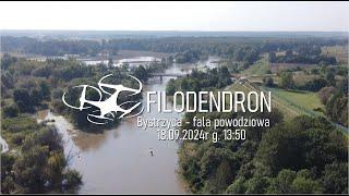 Bystrzyca Janówek Wrocław - fala powodziowa 18.09.024r z drona