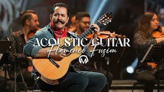 Spanish Guitar Melodies & Vibrant Flamenco Music Fusion (Exclusive V. Playlist)