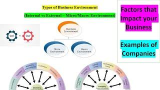 Types of Business Environment: Internal, External, Micro & Macro with Examples | MBA/BBA/BCom/LLB