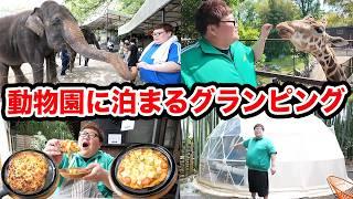 【動物園に泊まる?!】145kgがゾウに乗る?!キリンと朝食を食べられる宿に親友と一緒に泊まったらハプニング続出で最高の思い出になったwww