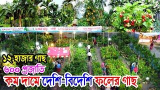 বিদেশী ফল গাছের মূল্য | ৬০০ প্রজাতি গাছ ১২ হাজার/দেশি-বিদেশি ফলের গাছের দাম জানুন | ফলগাছ নার্সারিতে