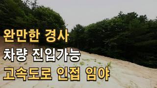 매물153 정상까지 차량 진입이 가능한 완만한 경사 사용 가치가 매우 높은 포천 임야